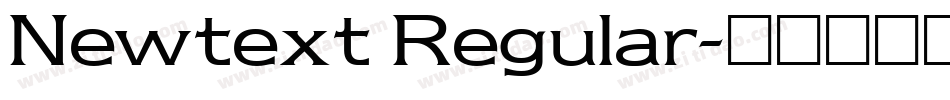 Newtext Regular字体转换